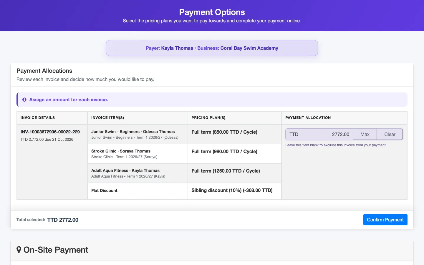 The nnerb payment page a parent sees from a payment link, showing the invoice and the available ways to pay.
